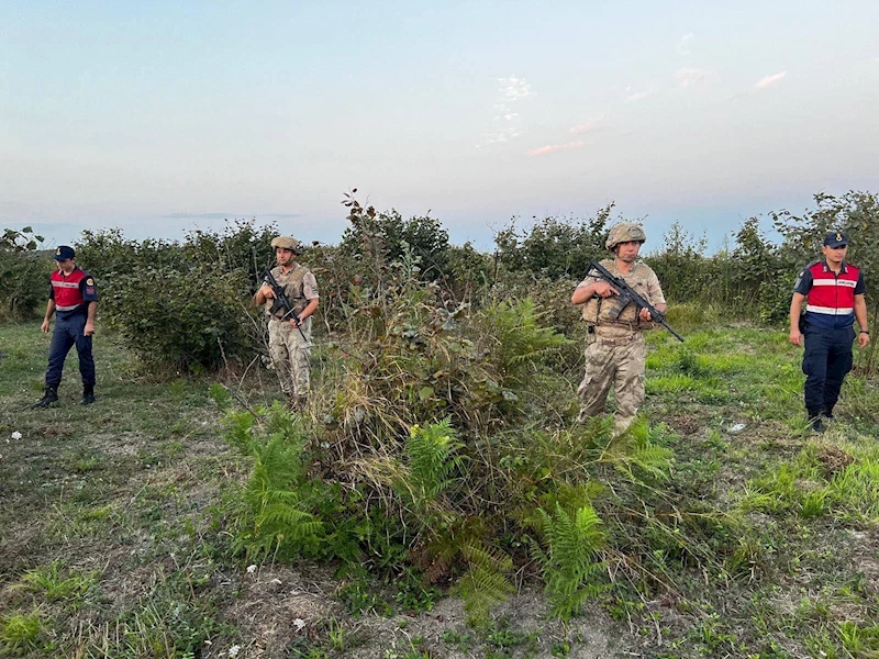 Jandarma, fındık hırsızlarına karşı nöbette