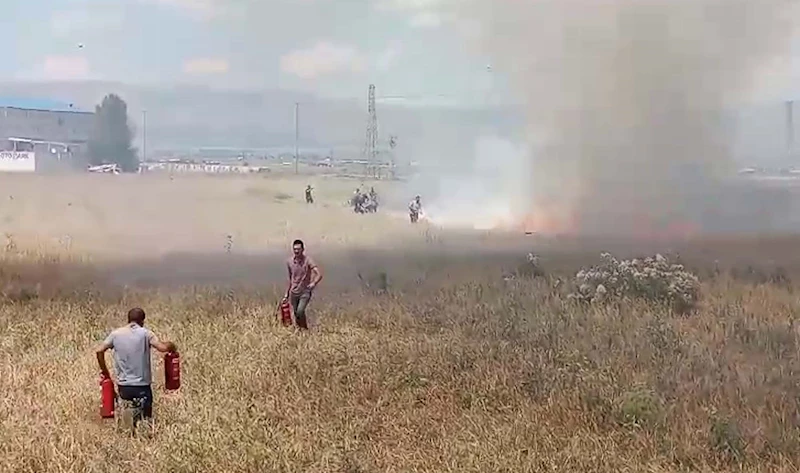 Buğday tarlasındaki alevlere  kazma, kürek, yangın tüpleriyle müdahale ettiler