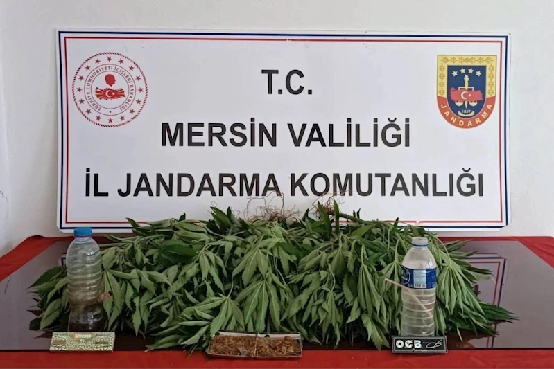 Mersin’de uyuşturucu tacirlerine operasyon 