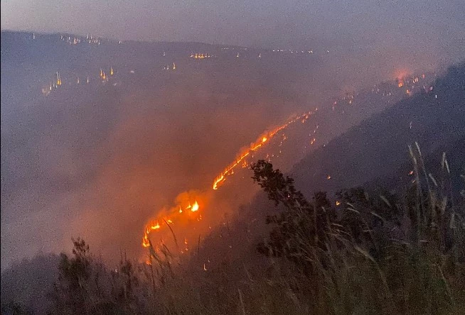 Bingöl’deki orman yangını, 8 saatte söndürüldü