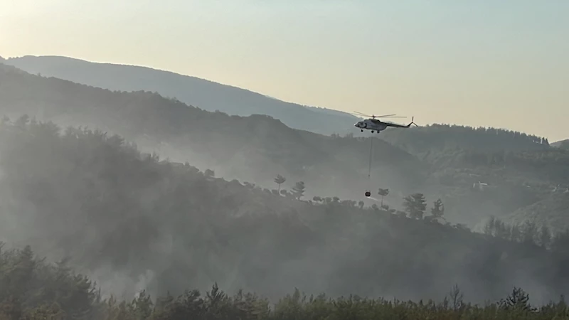  Milas’taki orman yangınında 2’nci gün