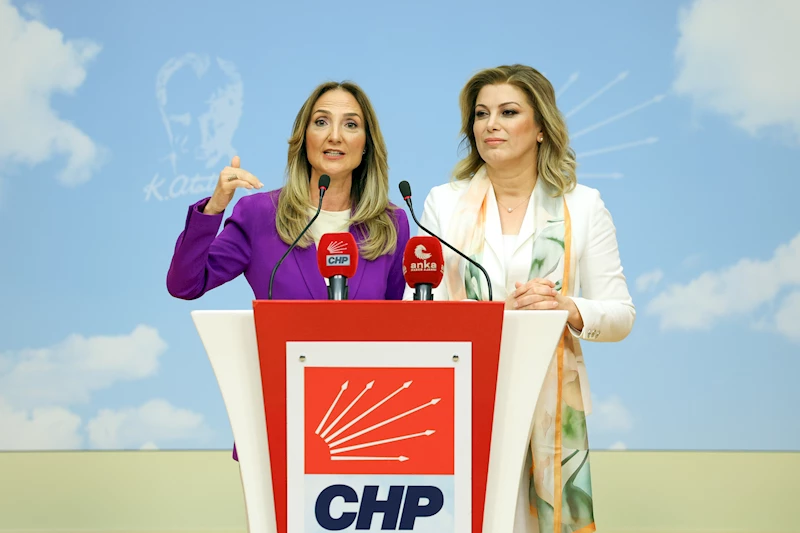 CHP Kadın Kolları Genel Başkanı Kaya, göreve başladı