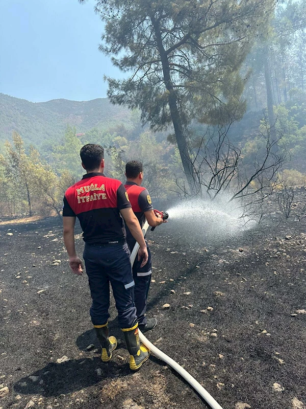 Marmaris’te orman yangını (2)