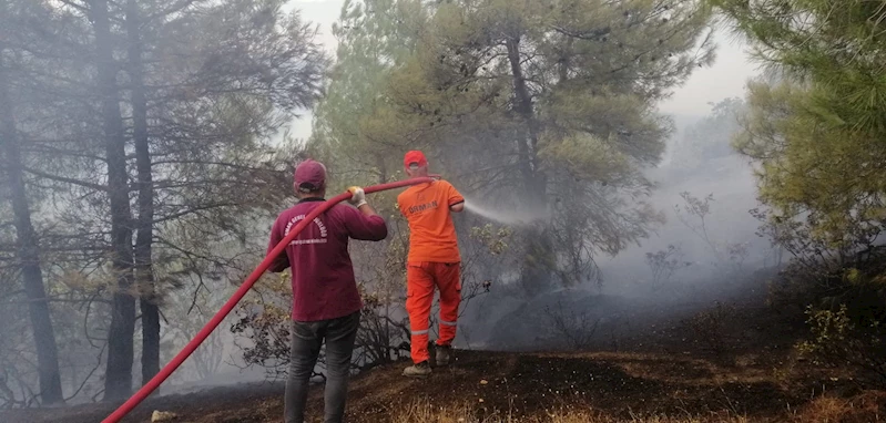 Kahramanmaraş’taki yangında 15 hektar orman zarar gördü