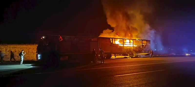 Bingöl’de seyir halindeki TIR alev aldı