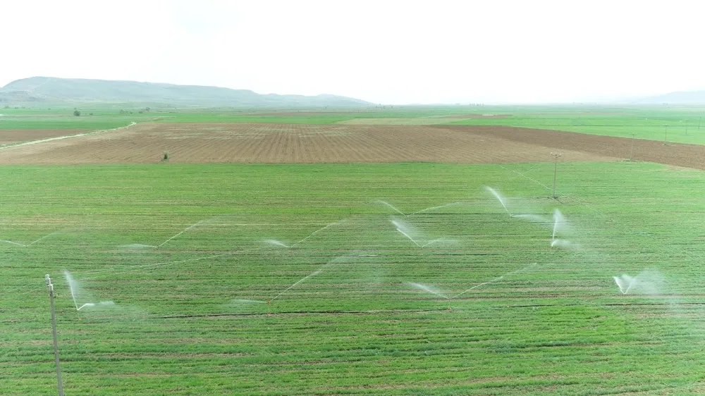 DSİ 22. Bölge Müdürlüğü, Sulama Tesislerinin Performansını Artırmak İçin İstişare Toplantısı Düzenledi