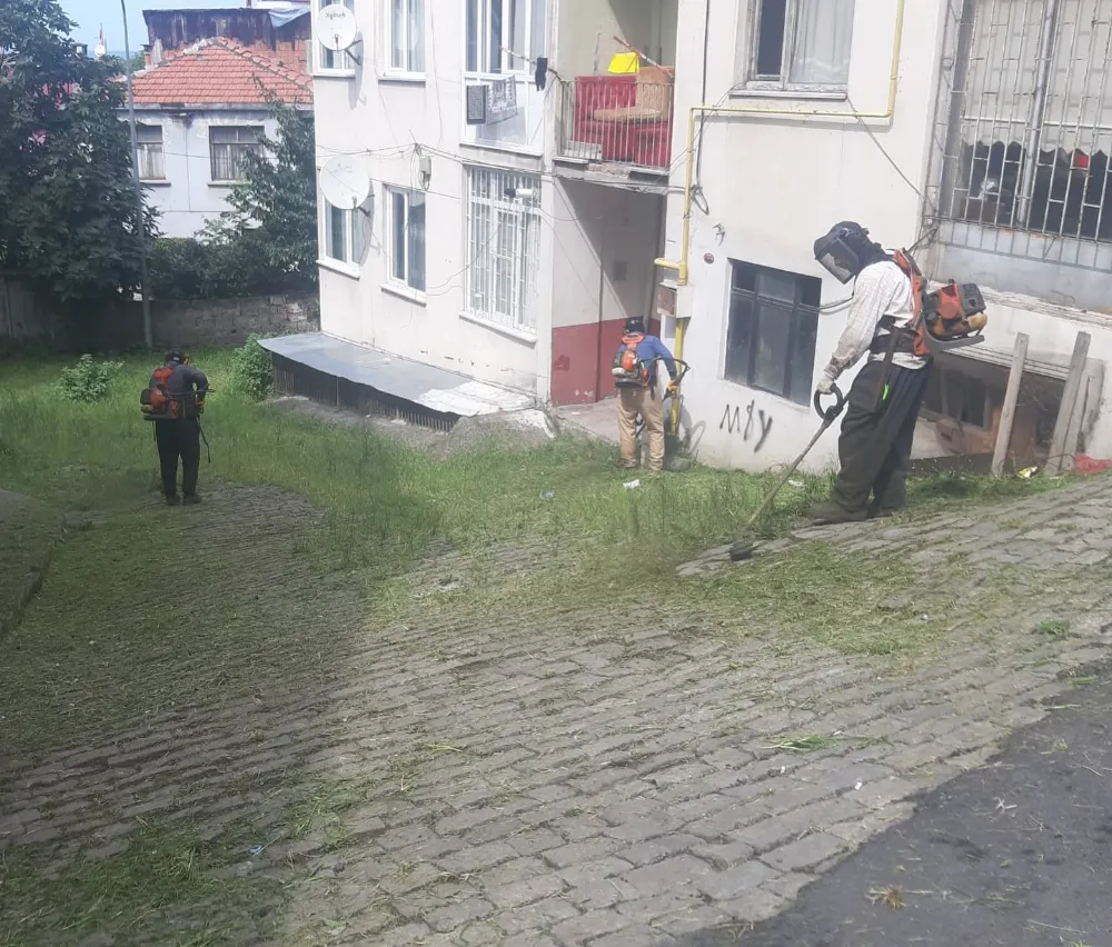 Ortahisar
