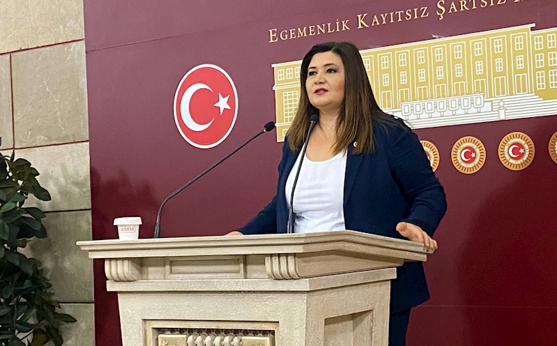 İYİ Partili Hamşıoğlu: Doğduğu anda çocuk o aileye emanet edilir mi test edilmeli