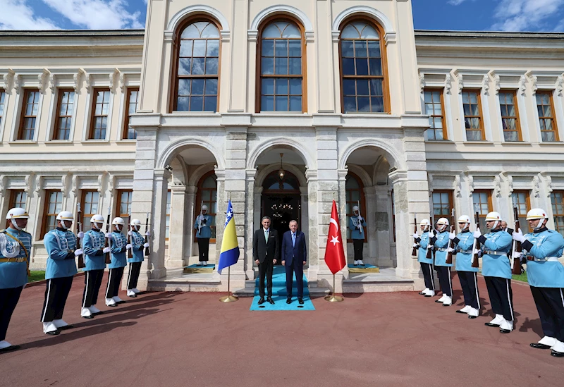 Cumhurbaşkanı Erdoğan, Bosna Hersek Devlet Başkanlığı Konseyi Başkanı Denis Becirovic ile görüştü-1