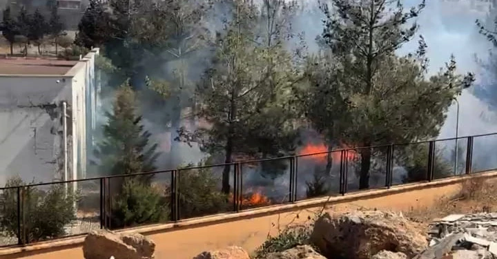 Gaziantep’te okul bahçesindeki ağaçlık alanda yangın 