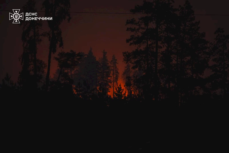 Donetsk bölgesinde Rus saldırısı sonrası orman yangını