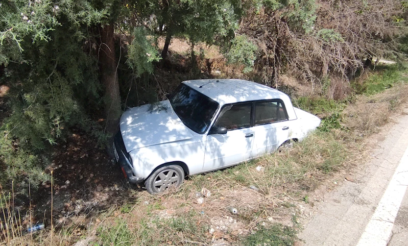 Ağaca çarpan otomobilin sürücüsü yaralandı