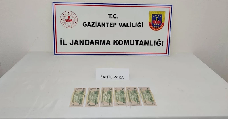 Gaziantep’te sahte dolar operasyonu