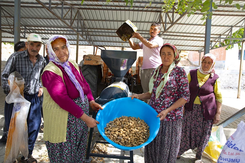 Büyükşehir’in badem soyma makinesi desteğiyle hasat zamanı