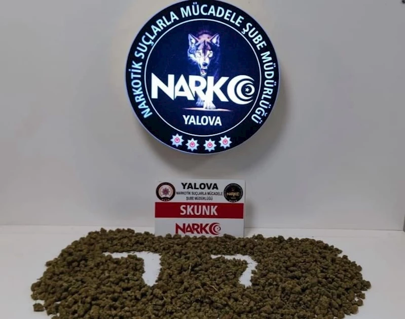 Yalova’daki operasyonda 800 gram skunk ele geçirildi, 2 şüpheli tutuklandı