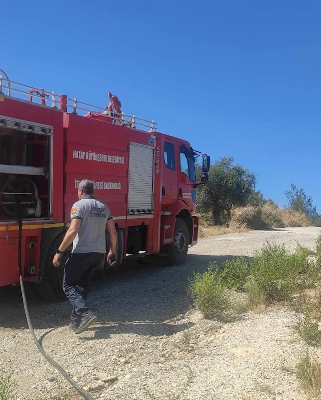 Hatay’da 5 hektarlık zeytinlik alanda yangın 