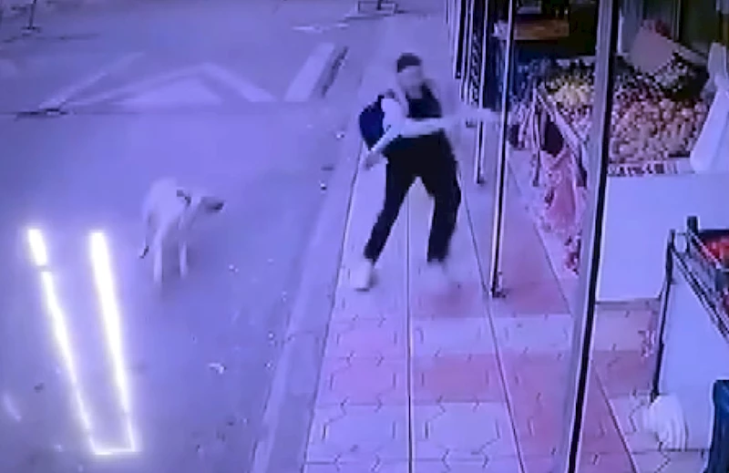 Öğrenci köpeğin saldırısından markete kaçarak kurtuldu