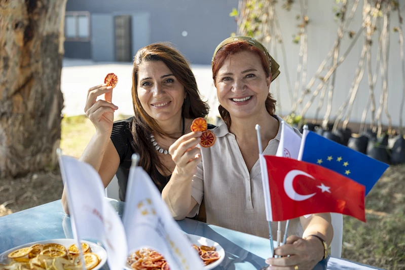 ‘Mersinden Güneş Enerjisi İle Kurutma Tesisi’nden tam kapasite üretim