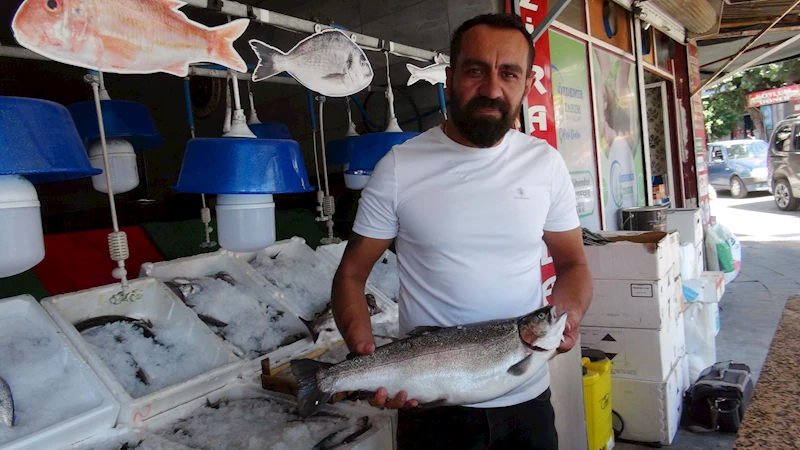 Kilis’te av yasağı bitti, balıklar tezgahlardaki yerini aldı