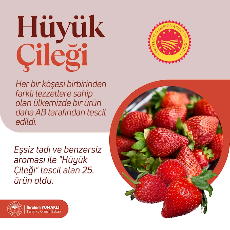 Hüyük çileğine AB tescili