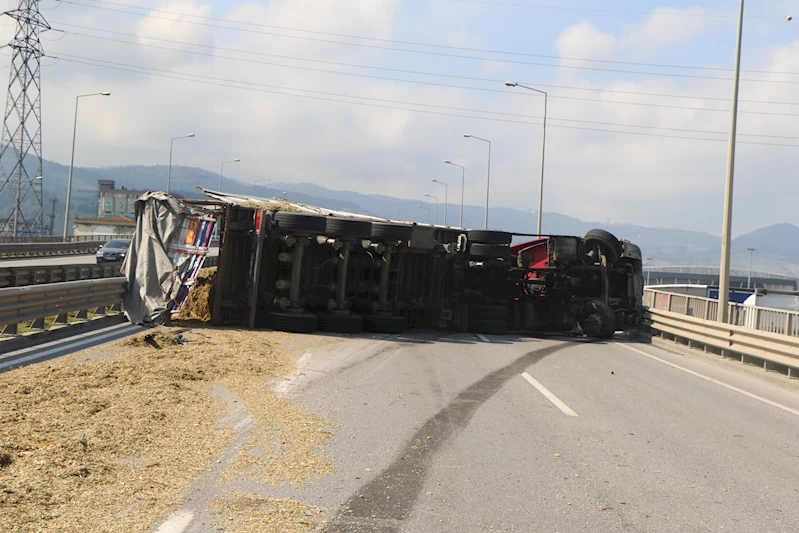 Sürücüsünün arı sokan TIR, devrildi