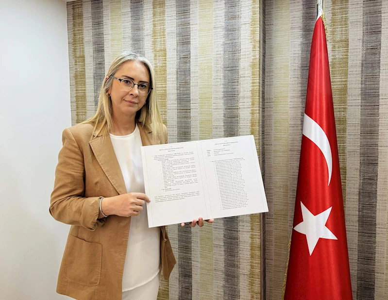 Ceyda Bölünmez Çankırı, CHP