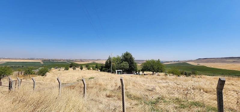 Kayıp Narin için mezarlıkta yer altı görüntüleme cihazı ile arama / Ek Fotoğraflar