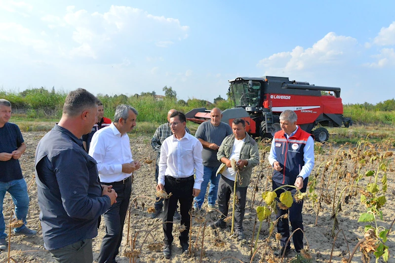 Edirne’de çerezlik ayçiçeğinin hasadı yapıldı 