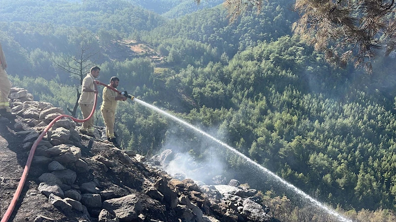 Muğla’daki orman yangını 2