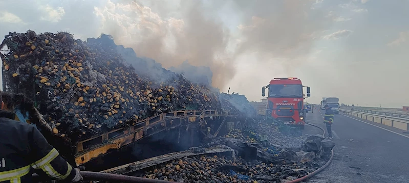 Mardin’de armut yüklü TIR, alev alarak yandı 