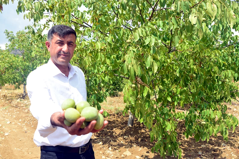 Kahramanmaraş