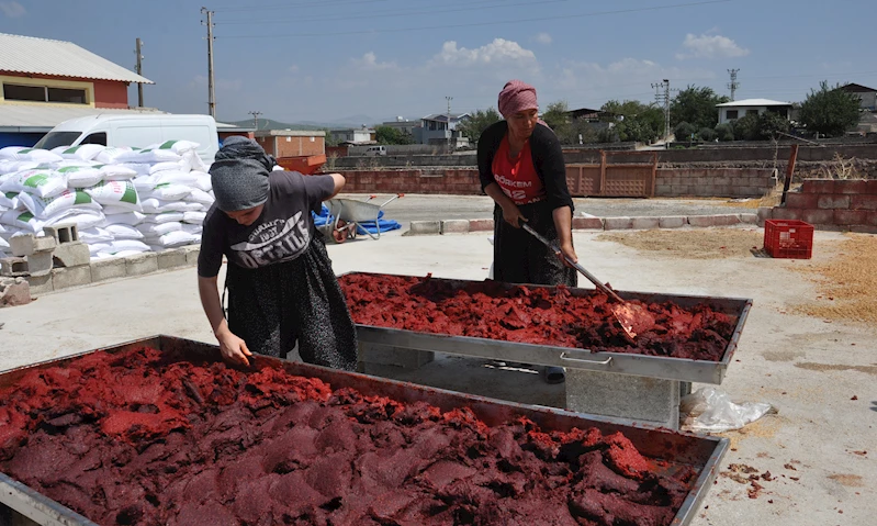 Gaziantep’te, üretilen salça dünyaya ihraç ediliyor 