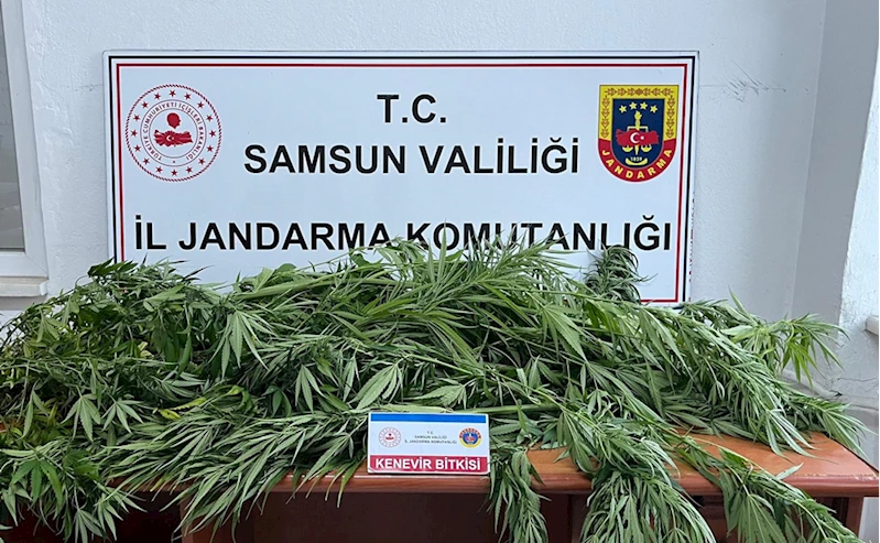 Samsun