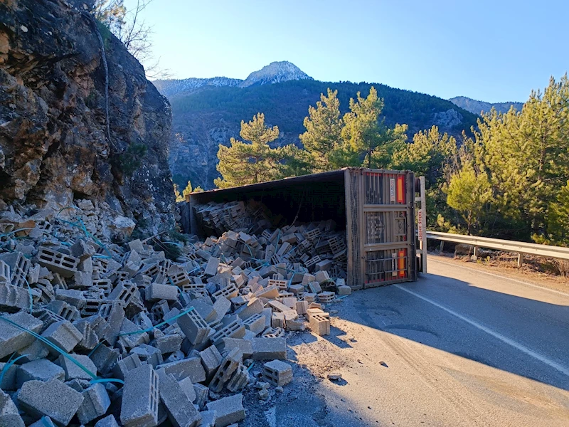 Briket yüklü TIR devrildi, sürücüsü yaralandı