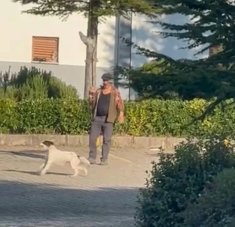 Olta ucuna bağladığı canlı güvercinle av köpeğine eğitim yaptıran kişiye para cezası