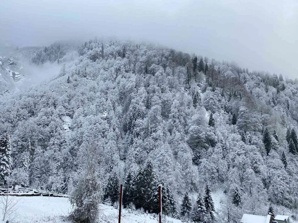 Doğu Karadeniz’i Etkisi Altına Alan Şiddetli Hava Koşulları İçin Uyarı!