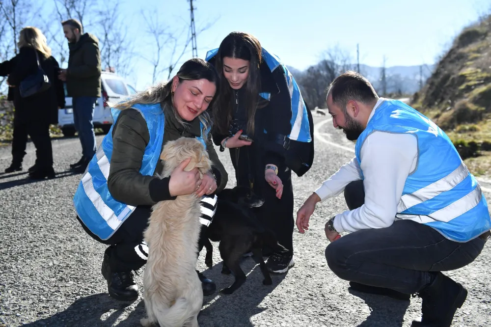 Ortahisar Belediyesi Hayvanseverlere Mama Desteği Sağladı