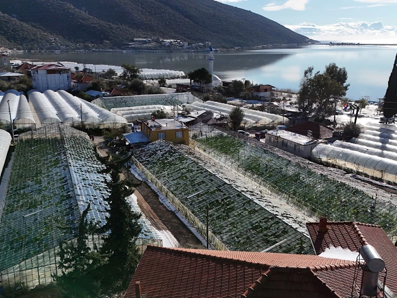 Şiddetli dolu ve yağmur, 200 dönüm seraya zarar verdi 