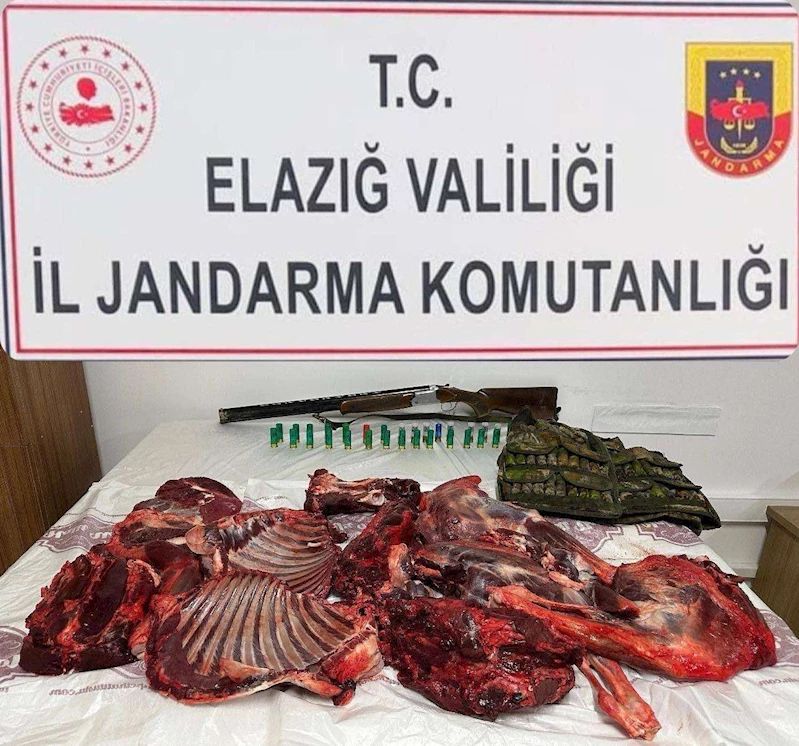 Elazığ’da, kaçak yaban keçisi avlayan şüpheli yakalandı