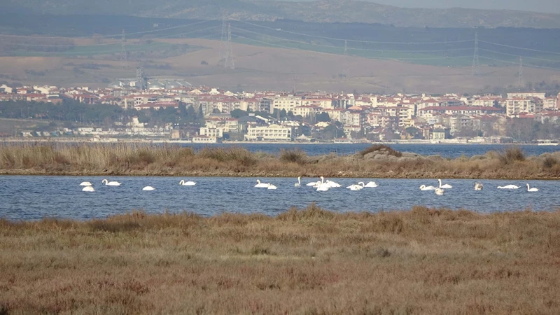 İklim değişikliği nedeniyle Çanakkale