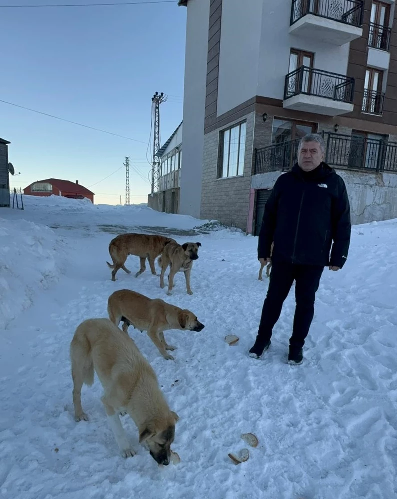 Bektaş Yaylasındaki sahipsiz köpeklere yiyecek desteği