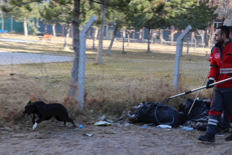 Köpeğin saldırısına uğrayan Zeynep yaralandı