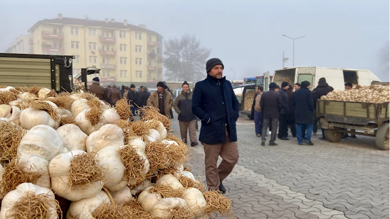 Taşköprü sarımsağı için soğuk havaya rağmen pazar kurulmaya devam ediyor