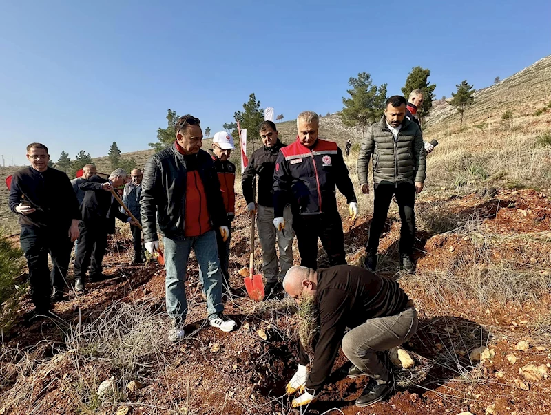 Hatay’da balıkçılar adına hatıra ormanı oluşturuldu