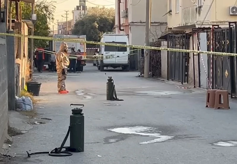 Fare zehrinden ölen kardeşlerin sayısı 3