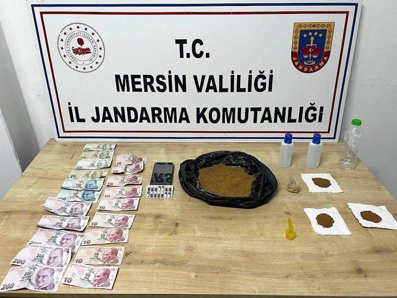 Jandarmadan uyuşturucu operasyonu: 2 gözaltı