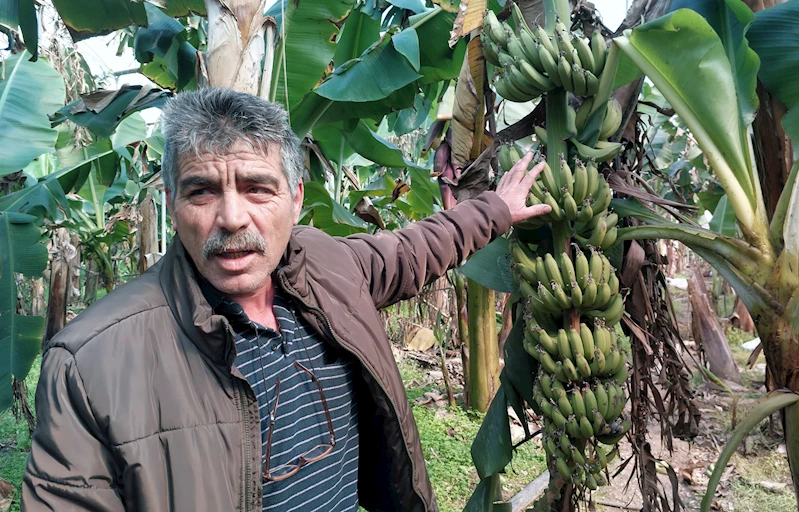 Silifke