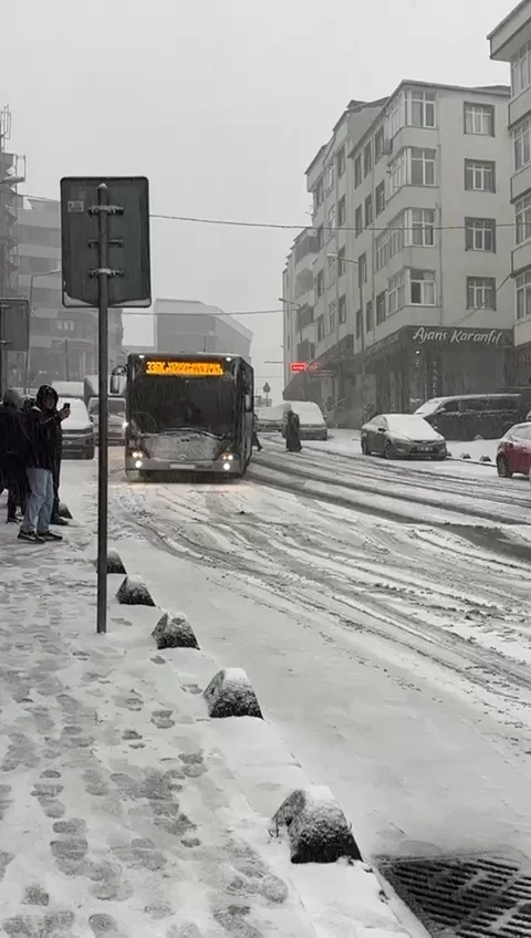 İstanbul- Arnavutköy