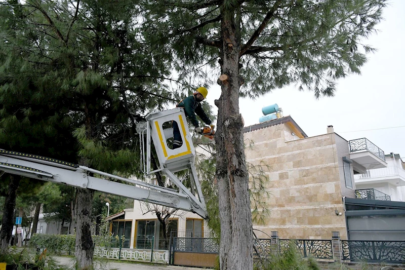 Kuşadası
