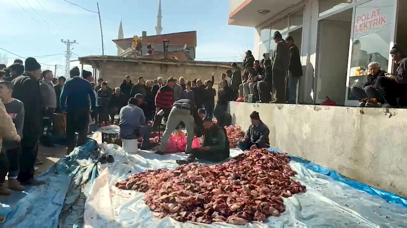 Mahallede 8 kurban kesildi, her eve 4 kilo et gönderildi